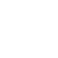 searchBtn